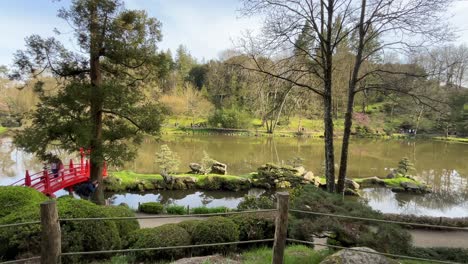Panning-across-a-lake-in-an-oriental-garden-with-shrubs-and-trees-and-a-red-bridge