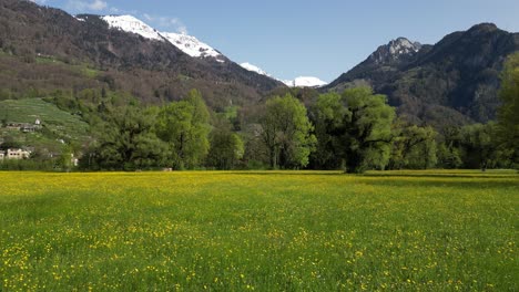 Slider-Shot-Of-Beautiful-Green-Meadow-In-Front-Of-Snowy-Weesen-Mountain,-St