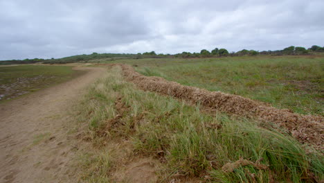 wide-shot-of-tidal-debris-seaweed-built-up-at-high-watermark-high-tide-at-Theddlethorpe,-Dunes,-National-Nature-Reserve-at-Saltfleetby