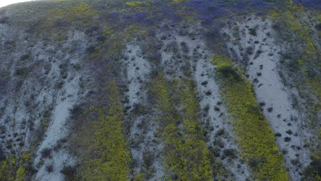 Fliegende-Drohne-Erfasst-Carrizo-Plain-National-Monument-Grasland-In-Kalifornien-Zeigen-Kleine-Berge