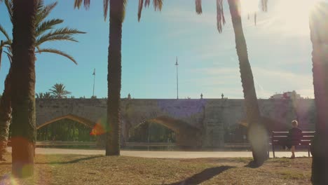 Shot-of-Puente-del-mar-from-the-Turia-Gardens-in-Valencia,-Spain-on-a-sunny-day