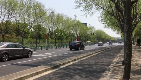 Cars-and-bikes-driving-on-a-road-near-park-in-Shangai,-China-in-spring