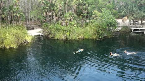 swimmers-float-in-clear-waters-of-Cristal-Cenote-in-Tulum,-Yucatan,-Mexico