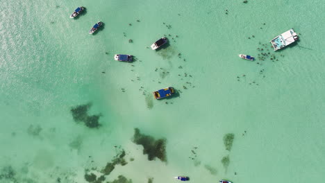 Above-View-Of-Coastal-Island-With-Tourists-And-Catamaran-Boats-In-Saona-Island,-Dominican-Republic