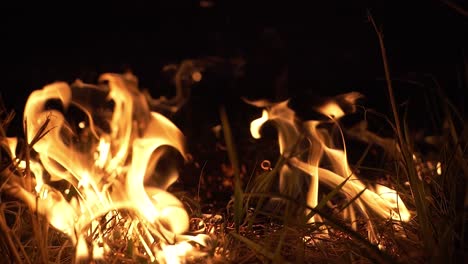 Incendio-Forestal-En-La-Noche