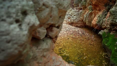 Toma-Atascada-De-Una-Fuente-De-Agua-Natural-En-Un-Cañón-En-El-Norte-De-Israel.