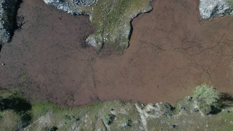 Vuelo-Ascendente-Con-Un-Dron-Con-Una-Vista-De-Arriba-Hacia-Abajo-Sobre-Un-área-De-Agua-Completamente-Cubierta-Con-Un-Tipo-De-Alga-Roja-Creando-Una-Hermosa-Textura-Con-Un-Borde-Blanco-Y-Verde-En-Ávila,-España