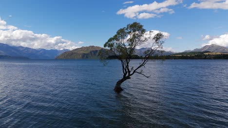 A-tree-rises-above-the-water-surface-of-Lake-Wanaka,-the-mountains-and-blue-sky-in-the-distance