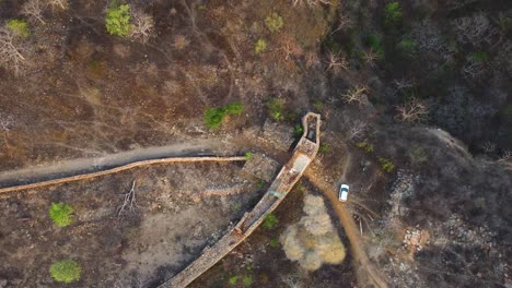 Top-down-drone-shot-of-an-old-fort-wall-with-a-white-car-parked-next-to-it-in-a-dense-forest-of-central-india