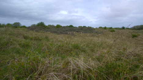 Panning-Wide-shot-of-Theddlethorpe,-Dunes,-National-Nature-Reserve-at-Saltfleetby