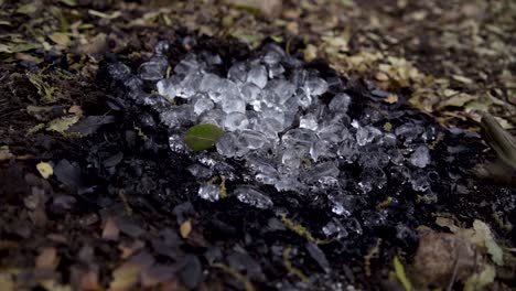 Ice-cubes-on-the-remains-of-a-campfire-at-Mount-Carmel,-Israel