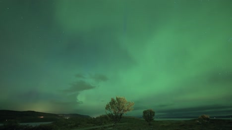 The-beautiful-dance-of-the-Aurora-Borealis-illuminates-the-dark-winter-sky