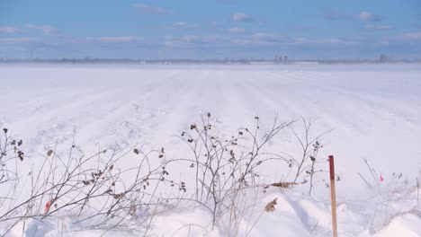 Snowy-Landscape-with-Falling-Snow-in-Saint-Jean-sur-Richelieu,-Québec,-Canada