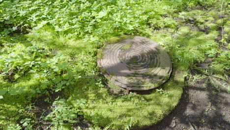 Old-iron-manhole-lid-almost-overgrown-by-grass-in-city