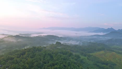 Drone-Vuela-Sobre-Un-Brumoso-Paisaje-Rural-Tropical