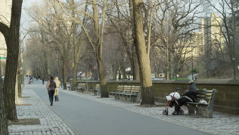 New-York-City-Central-Park-Mit-Person,-Die-An-Einem-Kalten-Wintertag-Auf-Einer-Parkbank-Sitzt