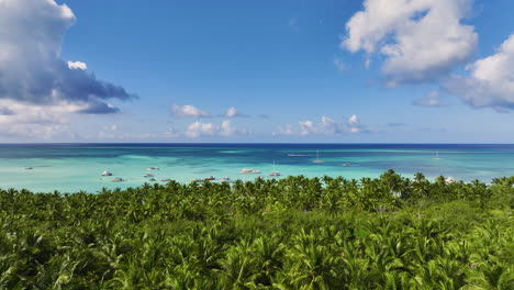 Lush-Palm-Trees-On-The-Shore-Of-Saona-Island-In-The-Dominican-Republic