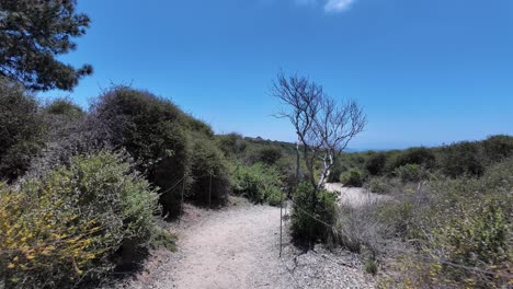 Walking-the-beach-trail-in-the-Torrey-Pines-State-Reserve-in-California