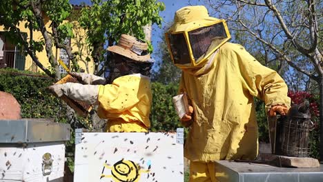 An-elderly-beekeeper-couple-examining-honeycomb-health-at-a-bee-farm-in-protective-clothing,-Central-Italy