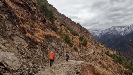 Following-a-group-of-hikers-walking-along-the-langtang-valley-trek-towards-snowy-mountains-of-Nepal