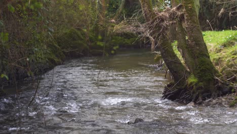 Flussabwärts-In-Der-Nähe-Der-Alten-Mellifont-Abbey-In-Tullyallen,-County-Louth,-Irland