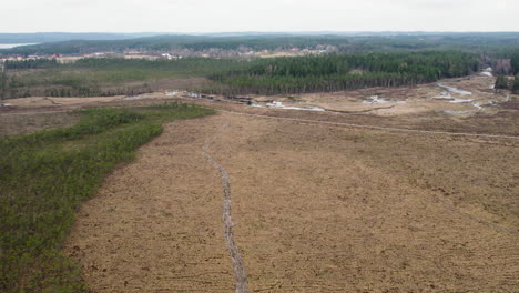 Riesiges-Sumpfgebiet-Und-Wald,-Steigende-Luftaufnahme-über