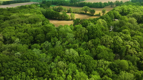 Parque-Estatal-Big-Cypress-Tree,-Tennessee,-Mostrando-Densos-Bosques-Y-Claros-Verdes,-Vista-Aérea