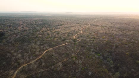 Aerial-drone-shot-of-a-long-dirt-road-through-a-semi-arid-forest-in-shivpuri-area-of-Madhya-Pradesh-India