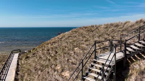 Strukturansicht-Der-Seezugänge-Im-Kruse-Park