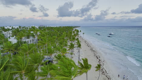 Kokospalmen-über-Der-Küste-Von-Punta-Cana-In-Der-Dominikanischen-Republik