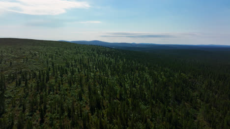 Drohne-Steigt-über-Ein-Fjeld-Und-Polare-Natur,-Sonniger-Sommertag-In-Inari,-Finnland