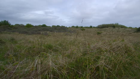 Wide-shot-of-Theddlethorpe,-Dunes,-National-Nature-Reserve-at-Saltfleetby