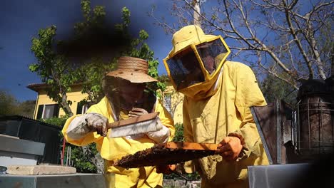An-elderly-beekeeper-couple-working-at-a-bee-farm,-Central-Italy