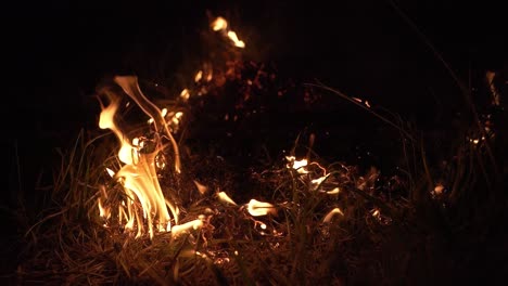 Incendio-Forestal-En-La-Noche