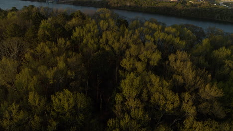 Imágenes-Aéreas-Volando-Sobre-Los-árboles-Y-Panorámicas-Para-Revelar-El-Río-Tennessee-Y-El-Centro-De-Chattanooga.