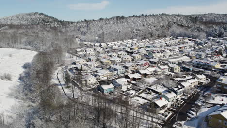 Idyllische-Nordische-Wohngegend-Mit-Schnee-Bedeckt,-Vorstadtgemeinde,-Luftaufnahme