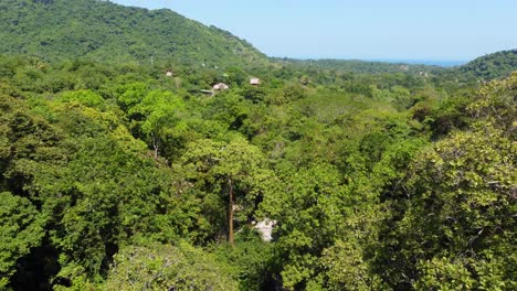 Luftaufnahmen-Fliegen-In-Richtung-Dichtem-Tropischen-Regenwald-In-Santa-Marta,-Kolumbien