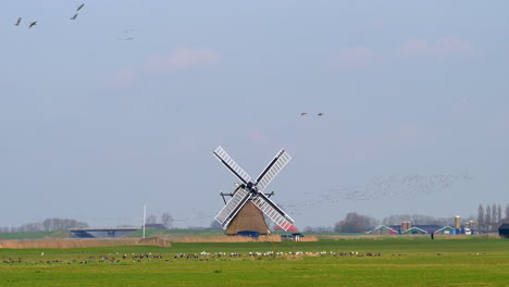 Windmühle-Auf-Einem-Landwirtschaftlichen-Feld-Mit-Einem-Vorbeiziehenden-Schwarm-Gänse-In-Den-Niederlanden,-Europa