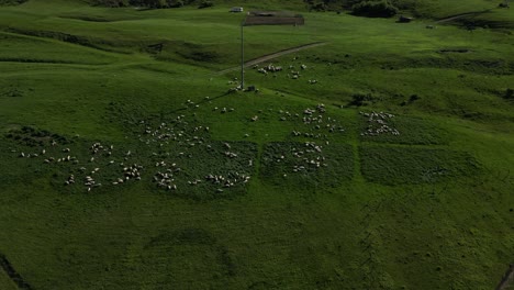 Schöne-Landschaft-Natürliche-Grüne-Hügel