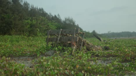 Old-wooden-cart-abandoned-in-lush-green-field,-cloudy-sky-in-the-background,-evokes-a-sense-of-solitude