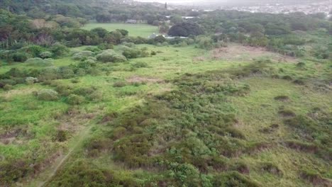 Drone-Moviéndose-Sobre-Bush-Y-Por-Encima-De-Abandonar-El-Edificio-En-El-Acantilado-De-Durban,-Sudáfrica