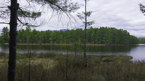 Mt.-Katahdin-behind-trees-with-a-stream