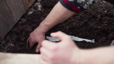 Gardener-Placing-Strips-Of-Shredded-Paper-Onto-Garden-Soil-To-Hold-Moisture-And-Add-Nutrients-When-It-Decays