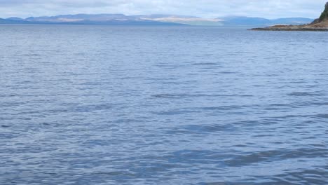 Slow-motion-of-a-dolphin-swimming-and-coming-to-the-surface-with-dorsal-fin-visible-on-the-Isle-of-Arran,-Western-Scotland-UK