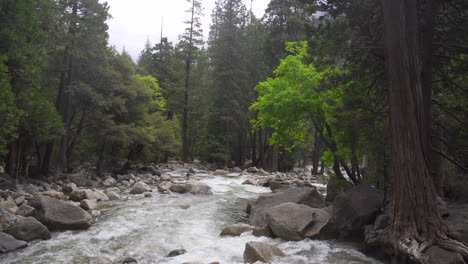 Panning-shot-on-a-bridge-of-a-stream-in-Yosemite-valley-in-Yosemite-National-Park