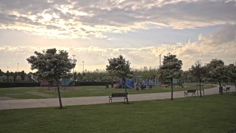 Trees-and-leaves-moving-in-cloudy-weather,-slow-motion