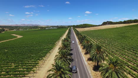 Eine-4K-Drohnenaufnahme-Eines-Wohnmobils,-Das-Eine-Lange-Gerade-Straße-Im-Barossa-Valley-In-Südaustralien-Entlangfährt