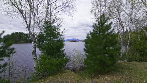 Wide-shot-of-some-trees-and-a-lake-with-Mt