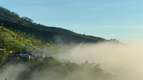 Foggy-monring-on-the-countryside.-Slope-of-Mountain