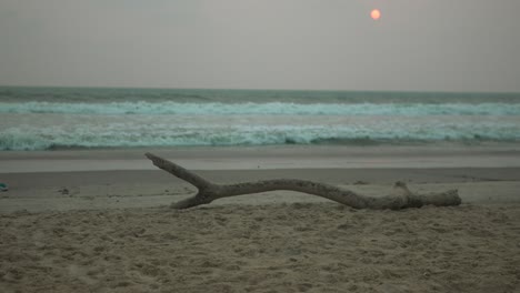 Dusky-beachscape-with-a-serene-ocean-under-a-hazy-sky,-featuring-a-large-driftwood-on-sand